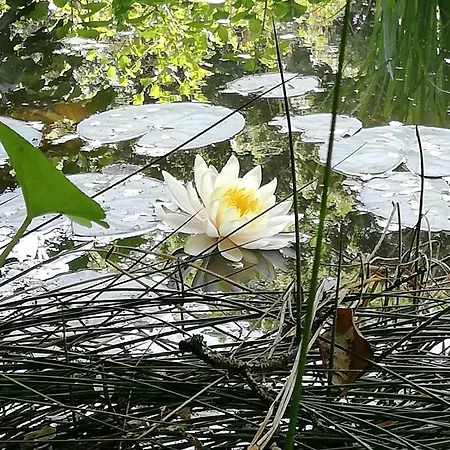 Passion Hotel Malchow (Mecklenburg-Vorpommern)